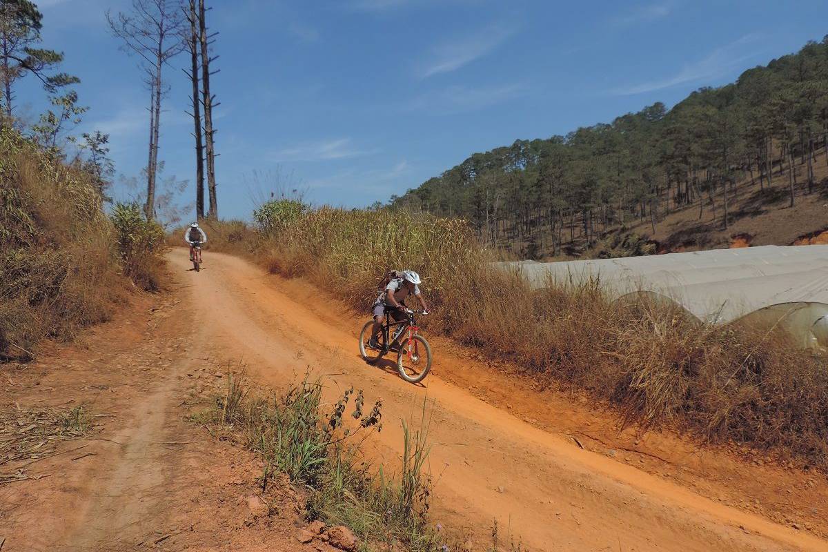 1738907526_crazy-8-mountain-biking-dalat-2.jpg