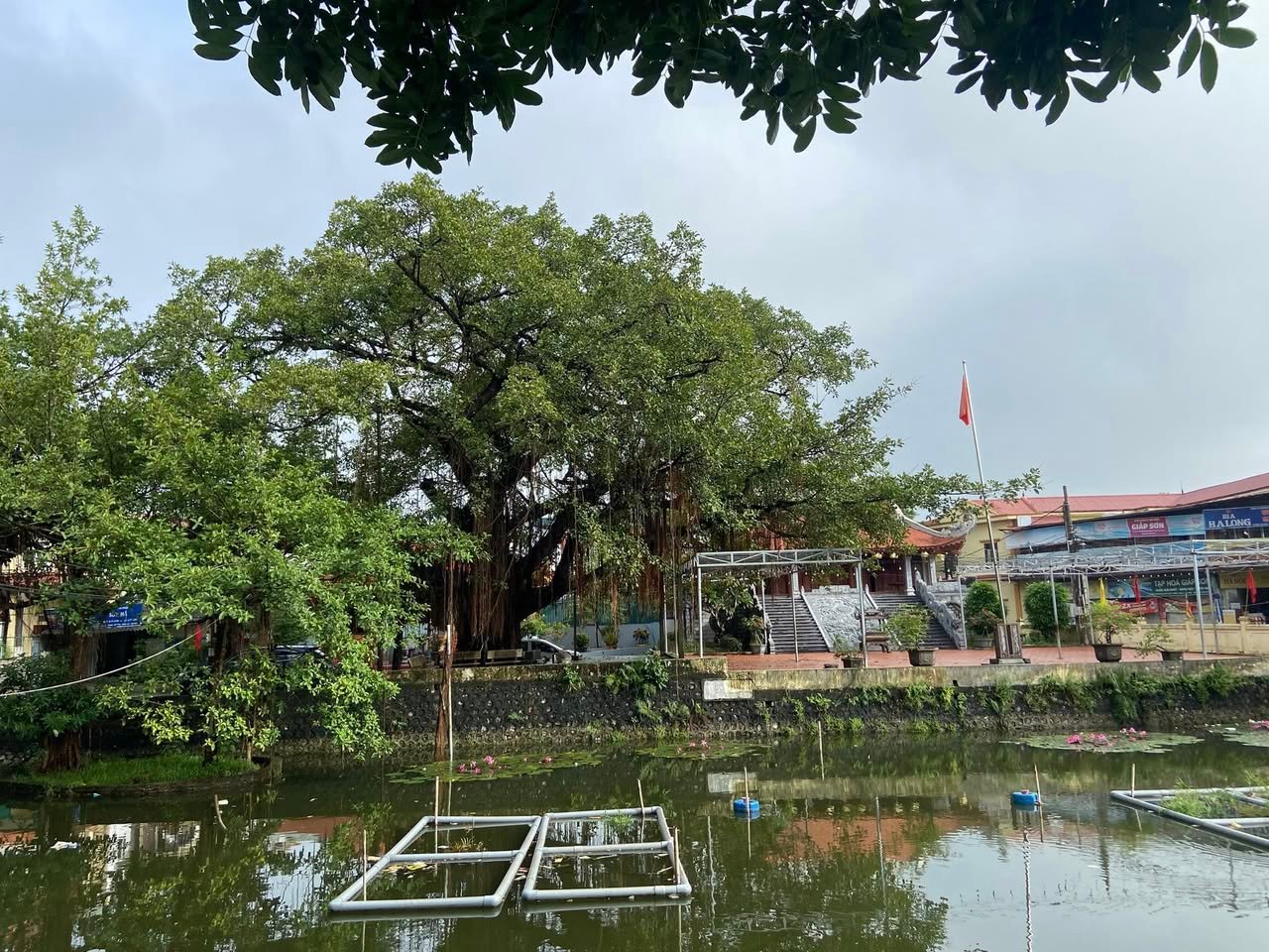 Is It Safe to Cycle in Ninh Binh? A Complete Guide for Travelers Exploring Vietnam’s Countryside