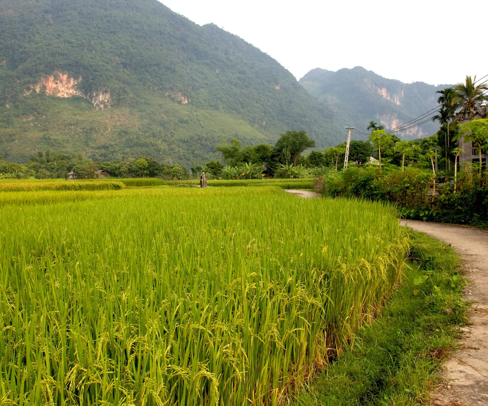 Ho Chi Minh Trail Cycling: Ride Through History, Nature, and Untamed Vietnam