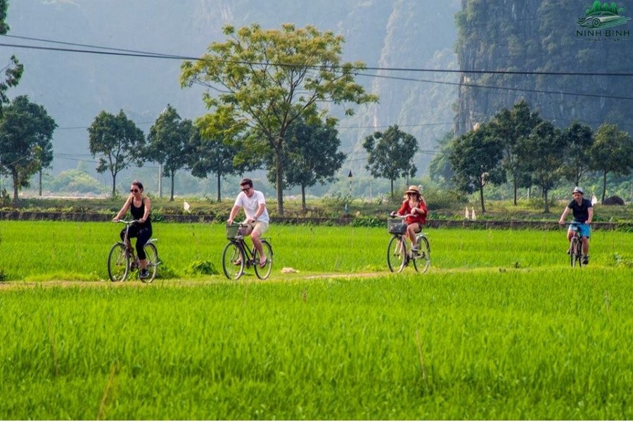 Cycling Ninh Binh Tam Coc: Explore Vietnam’s Inland Halong Bay on Two Wheels