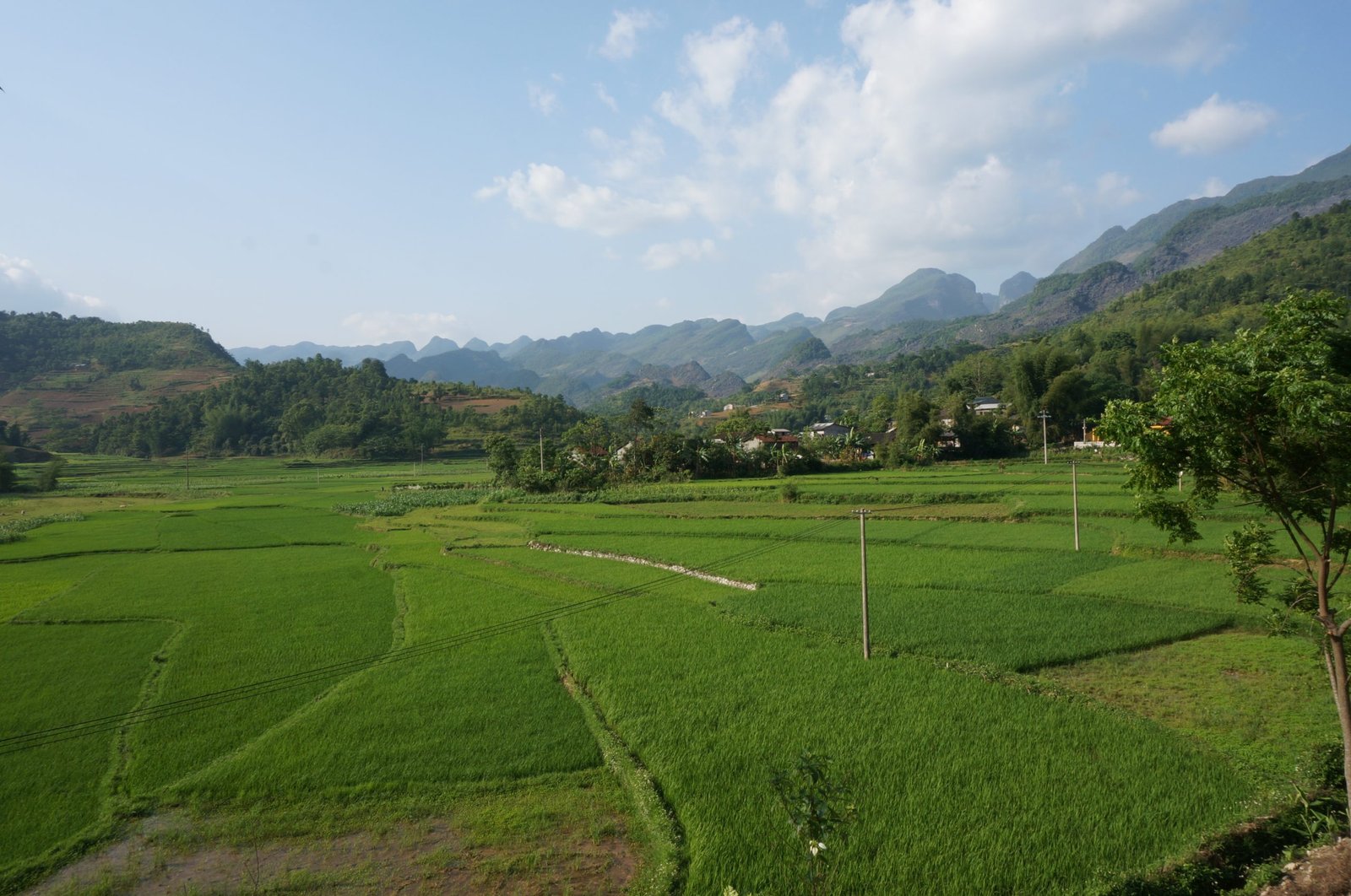 Pedal Through Paradise: The Ultimate Guide to a Rural Vietnam Cycling Tour in Mai Chau