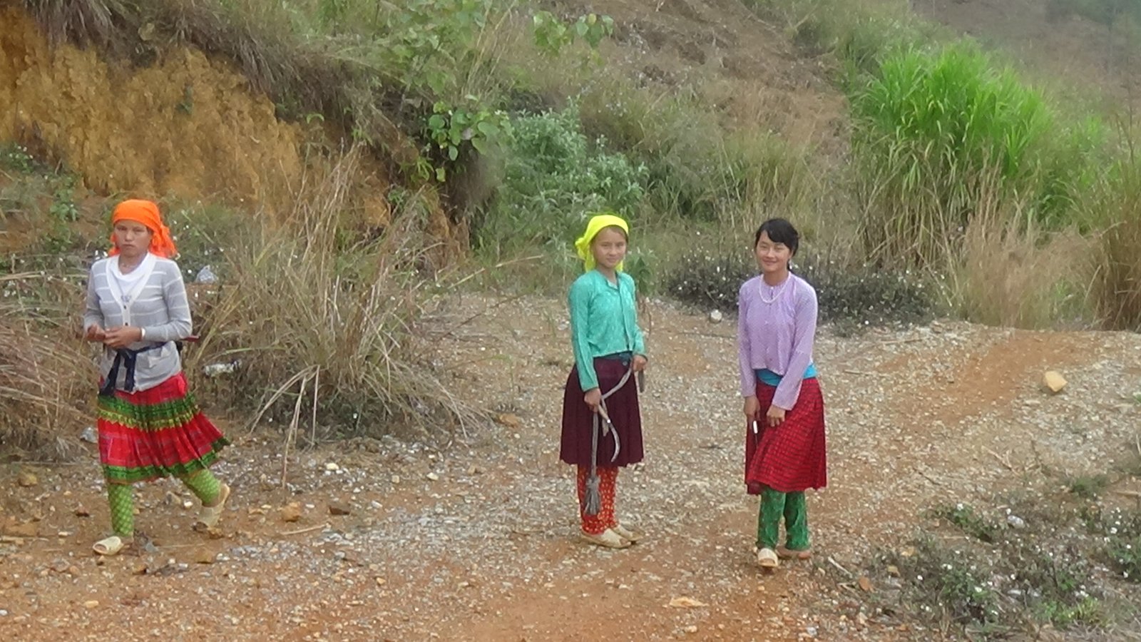 The Revolution of the Peaks: Your Ultimate Guide to a Northern Vietnam E-bike Tour North Vietnam