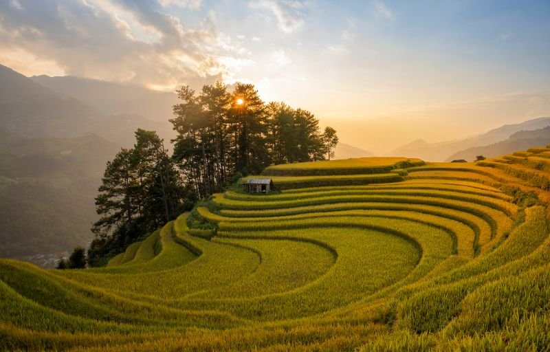 1771906205_Mu-Cang-Chai-rice-field-travel-guide-for-first-timers.jpg
