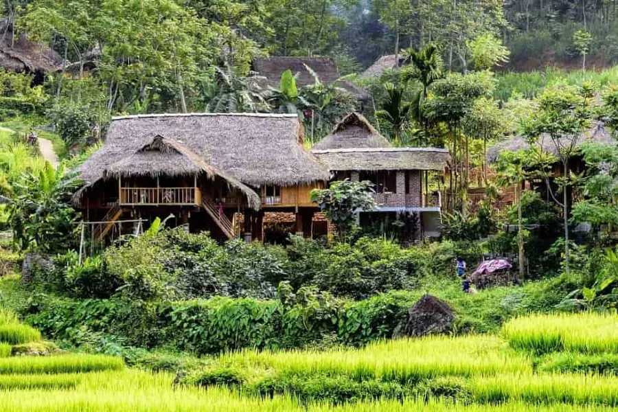 Why Small Group Cycling in Pu Luong is the Ultimate Way to Experience Northern Vietnam