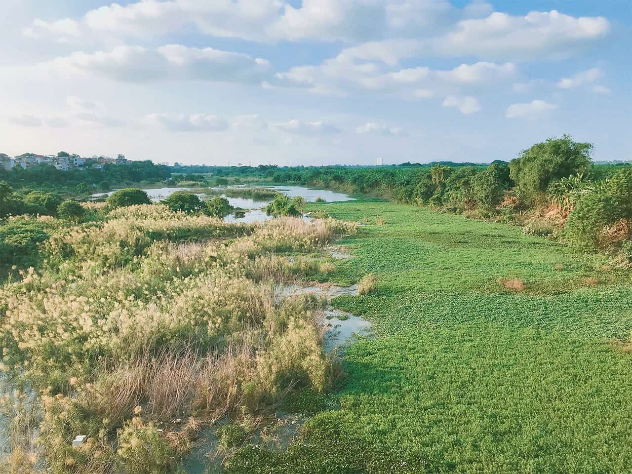 Half-Day Hanoi E-Bike Tour: Exploring Ancient Co Loa Citadel