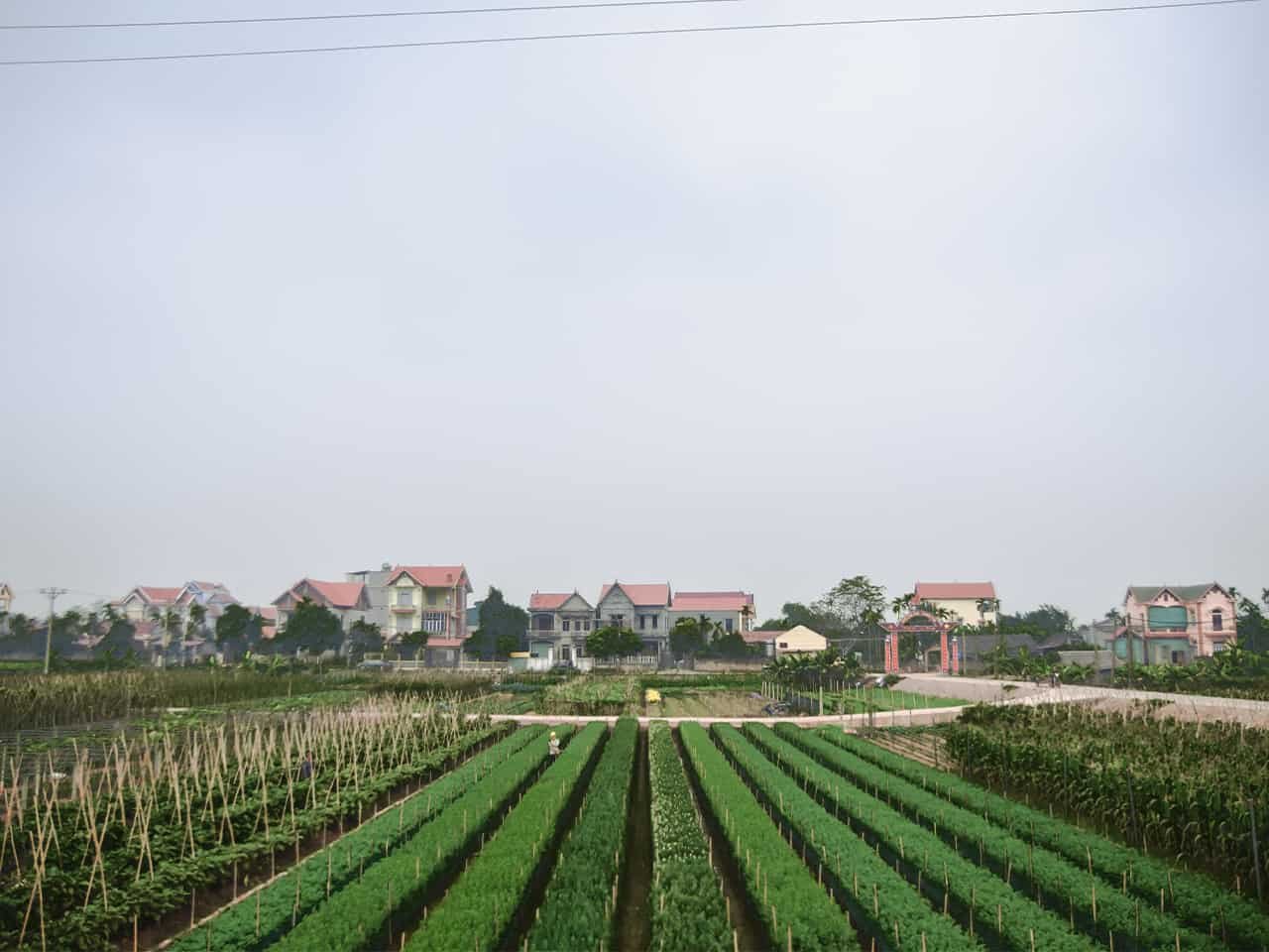Half-Day Hanoi E-Bike Tour: Exploring Ancient Co Loa Citadel
