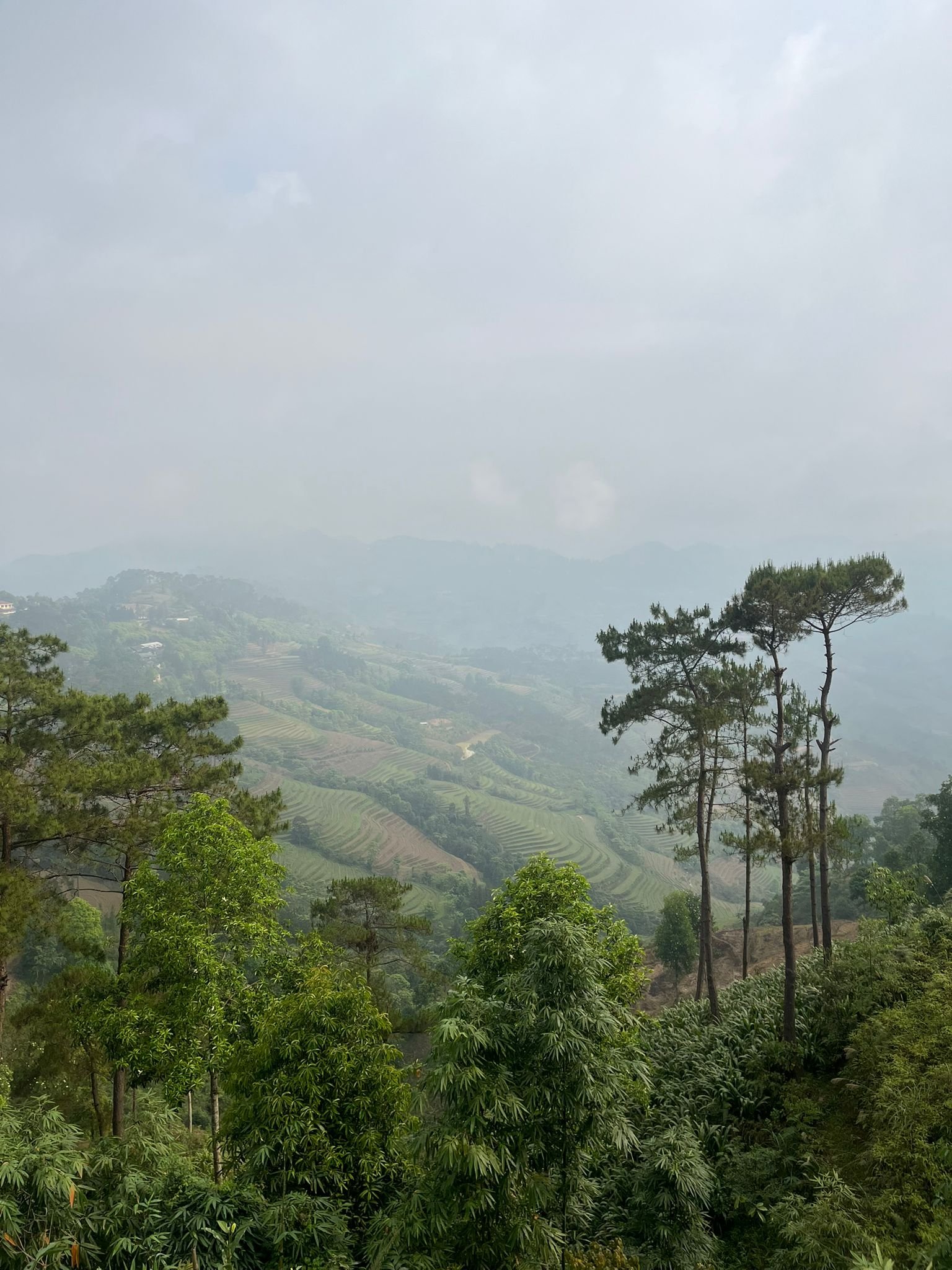 Ha Giang Epic Loop by Bicycle Tour 6 Days