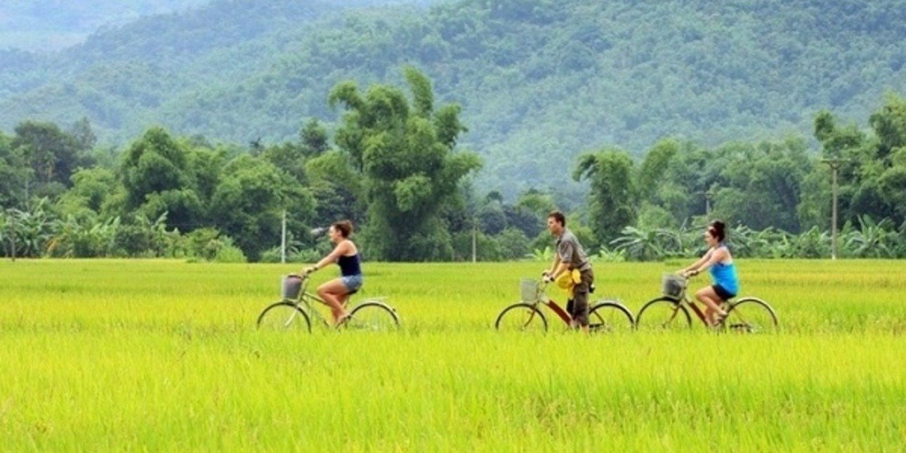 Scenic Bike Tours Mai Chau: The Ultimate Active Guide