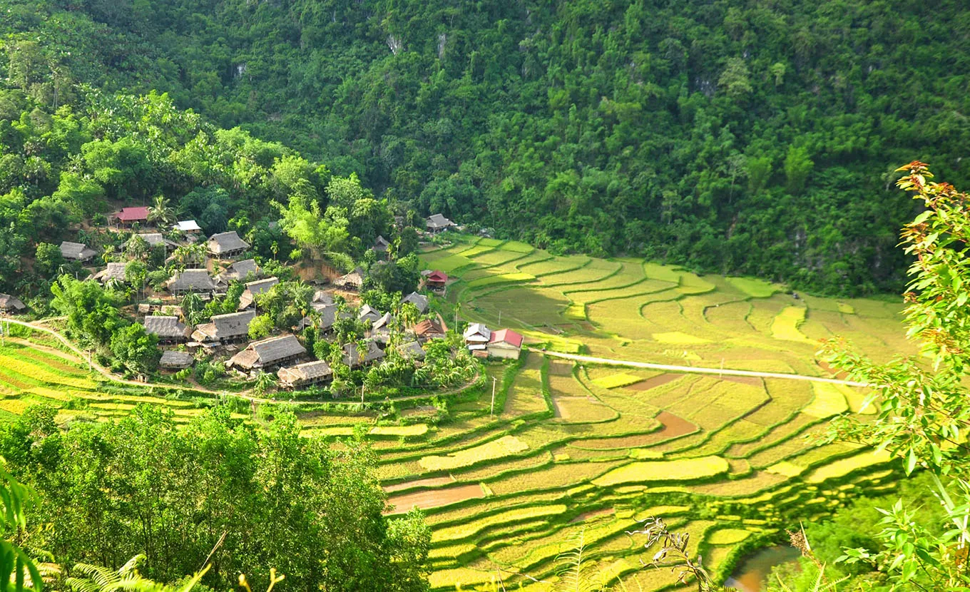 1780541472_puluong8.webp