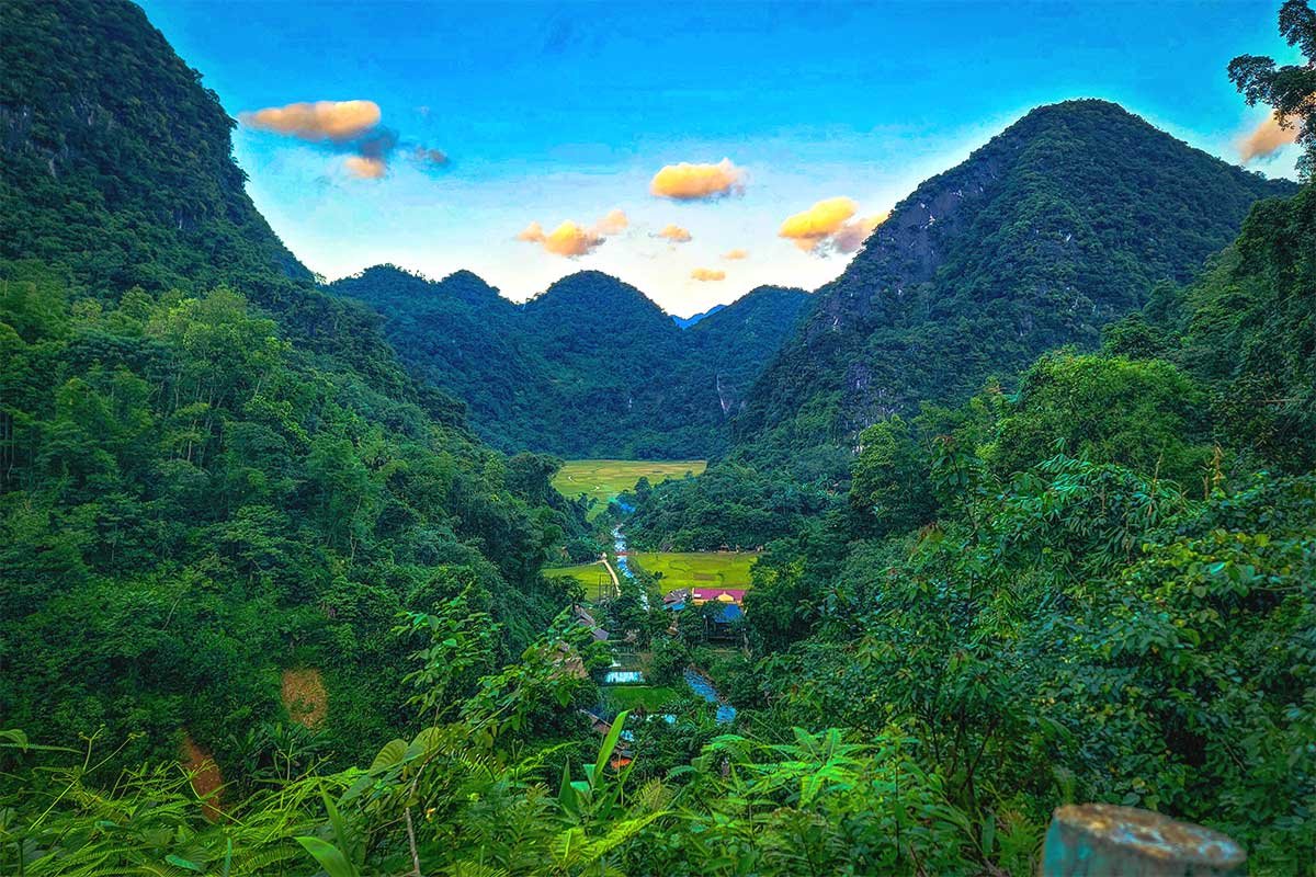 1780542572_puluong12.jpg
