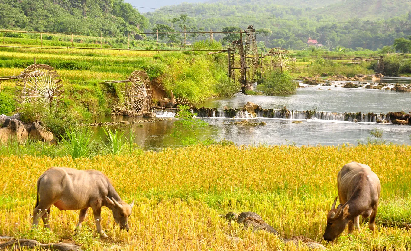 Pu Luong E-Bike Tours: The Ultimate Electric Bike Guide
