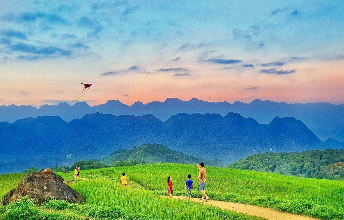 1780551778_puluong21.png