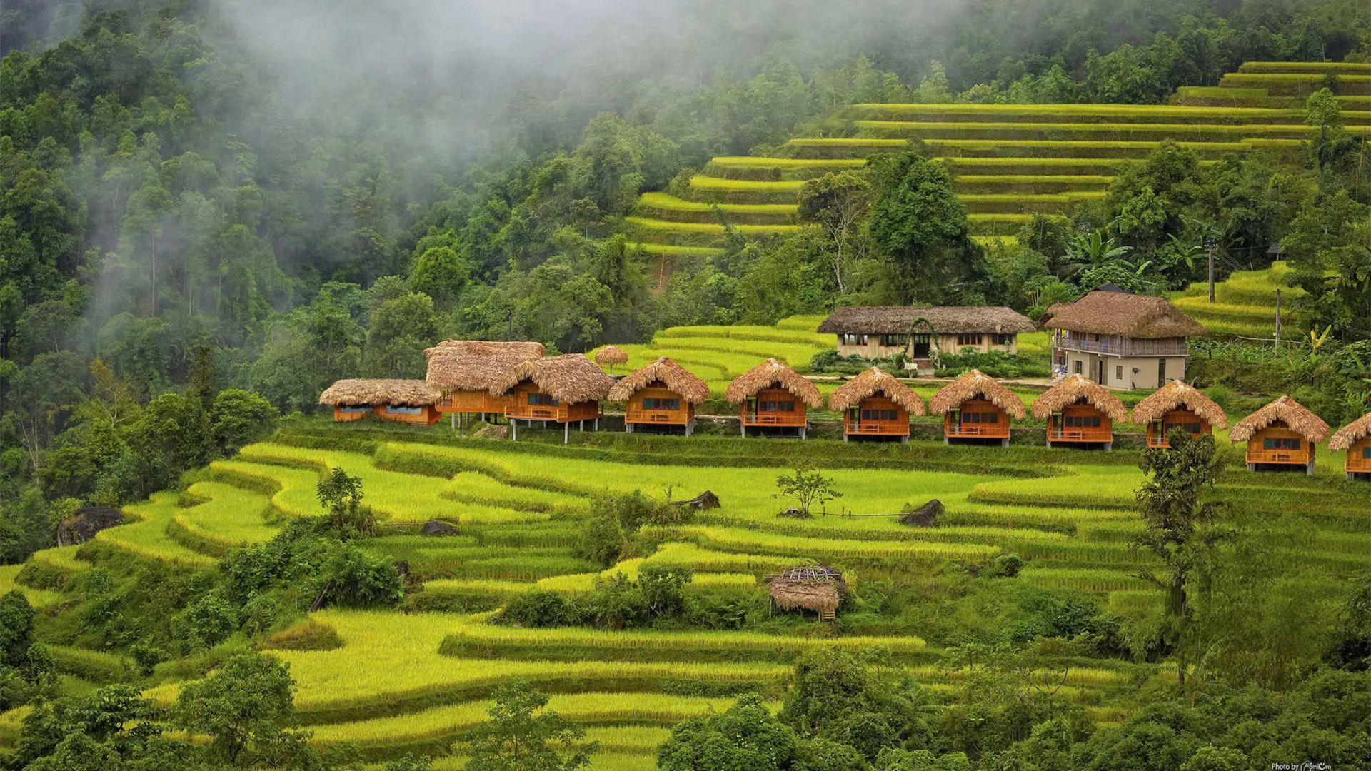 1780552683_sapa.webp
