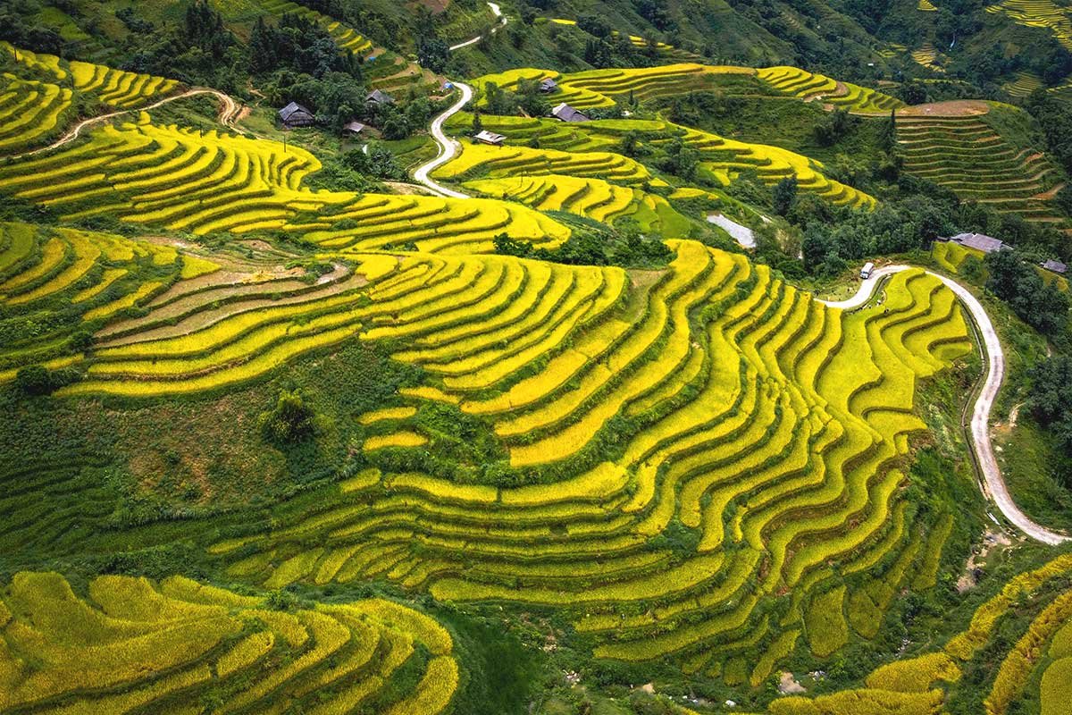 1780628387_northvietnam2.jpg