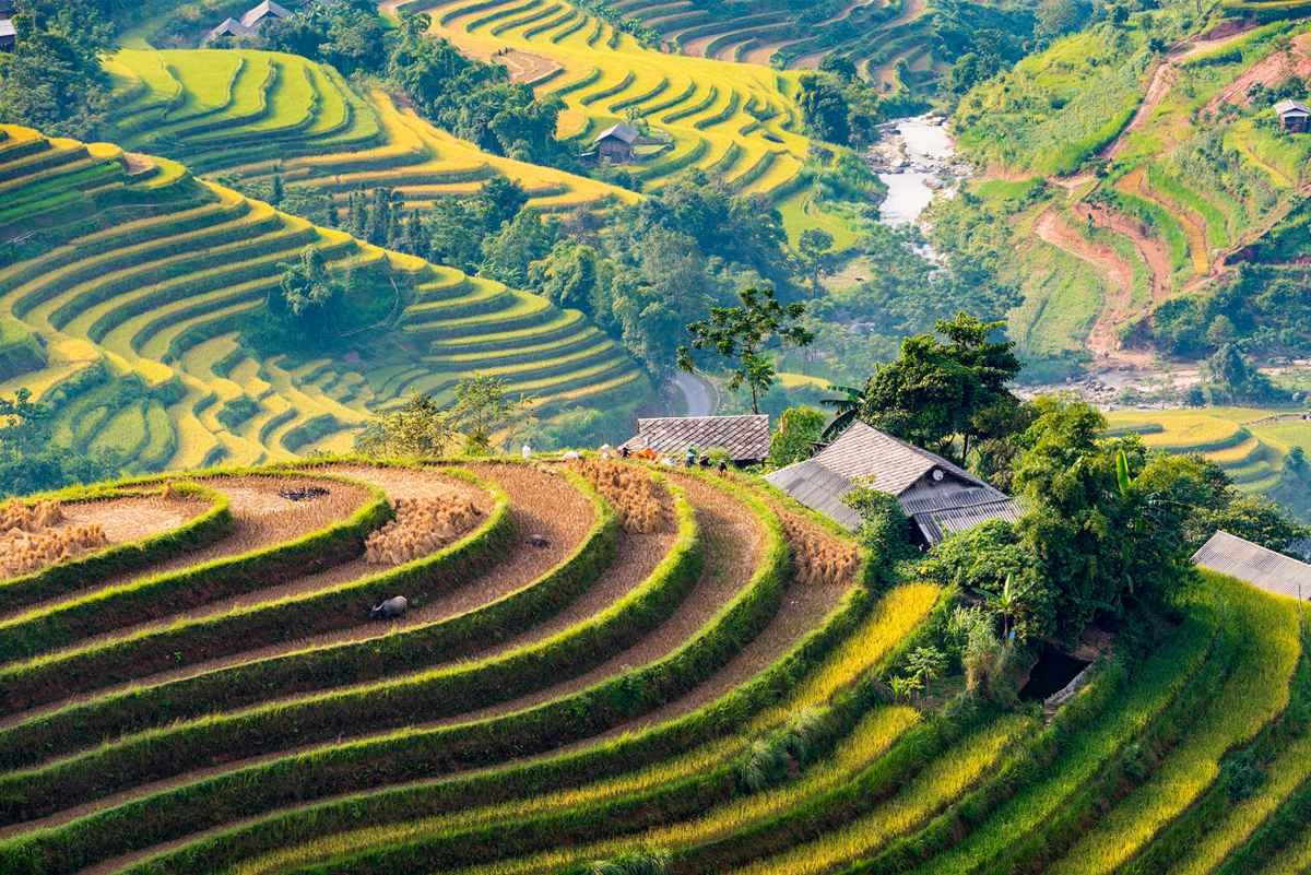 1780629094_northvietnam6.jpg
