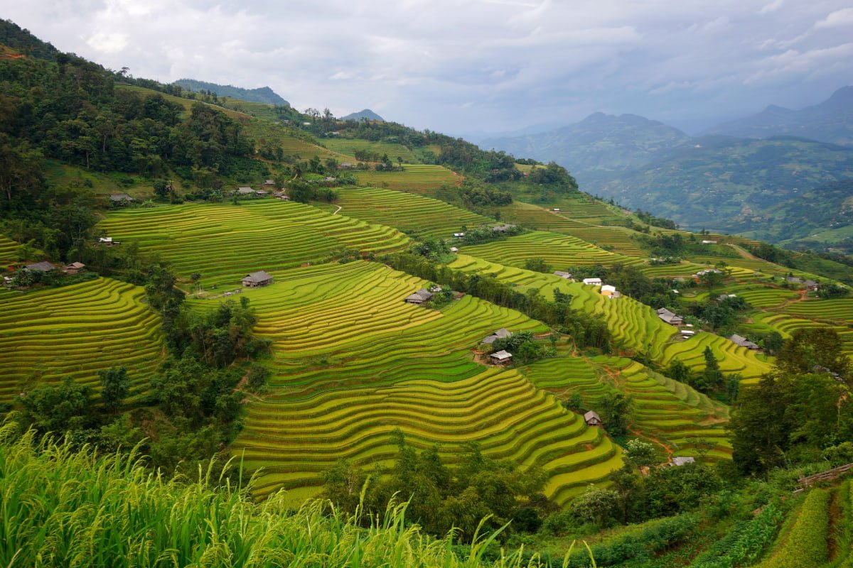 1780629257_northvietnam7.jpg