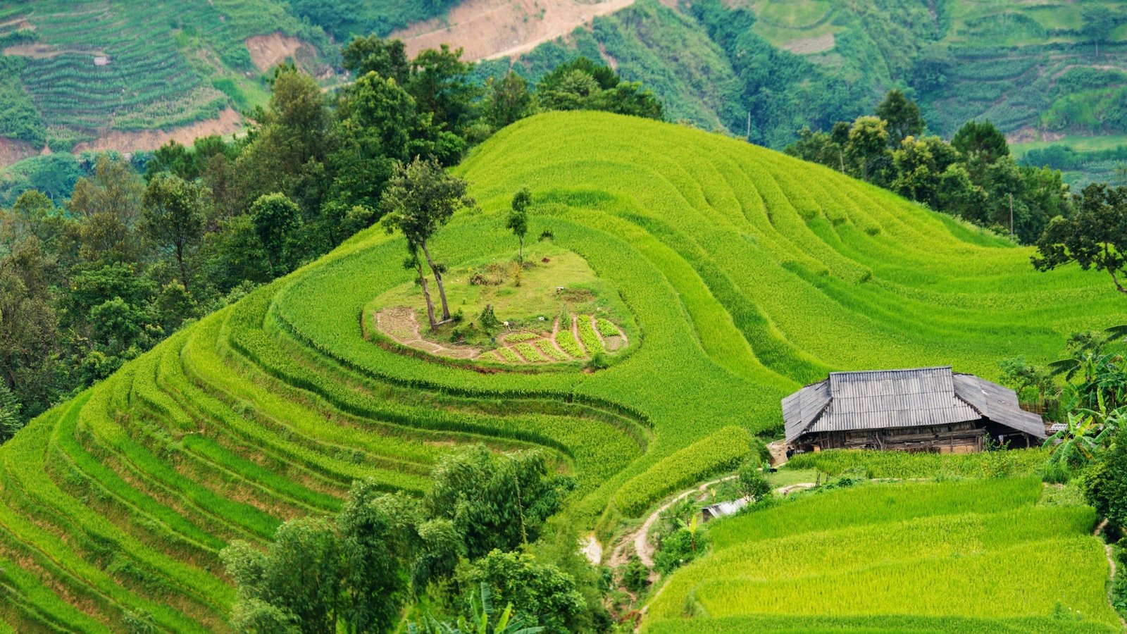 1780630353_northvietnam11.jpg