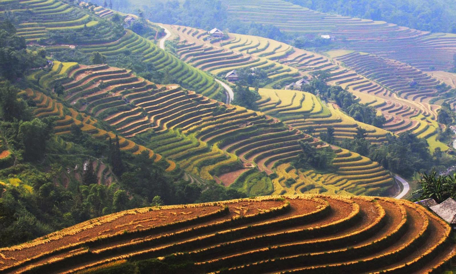 1780899331_northvietnam20.jpg