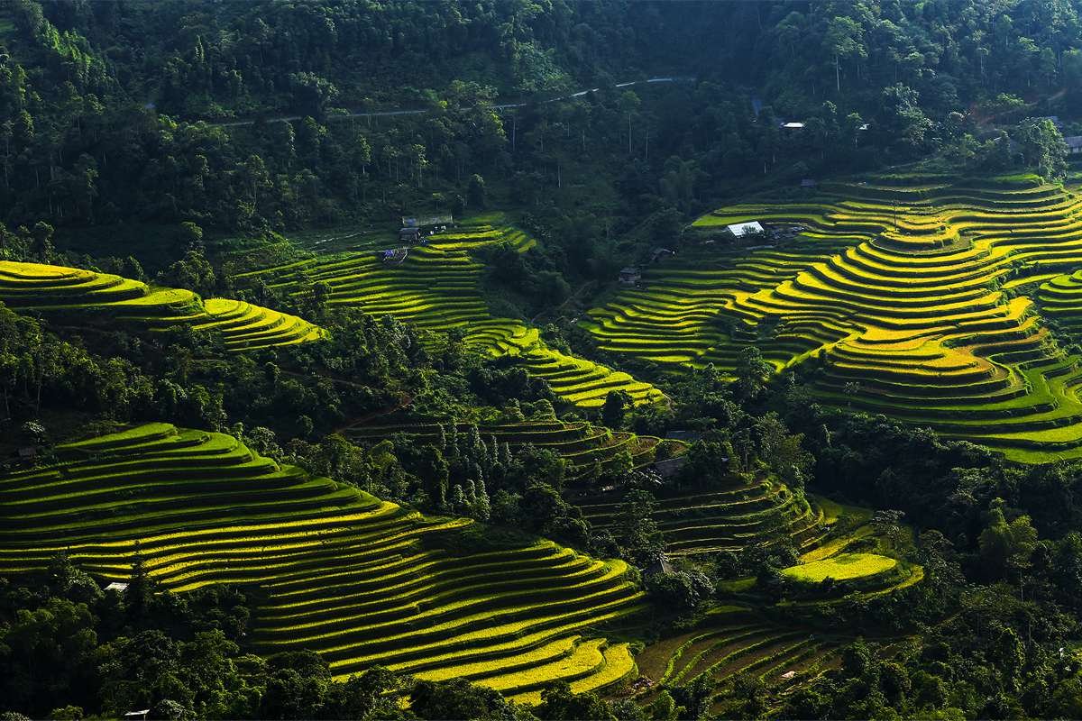 1780900174_northvietnam25.jpg
