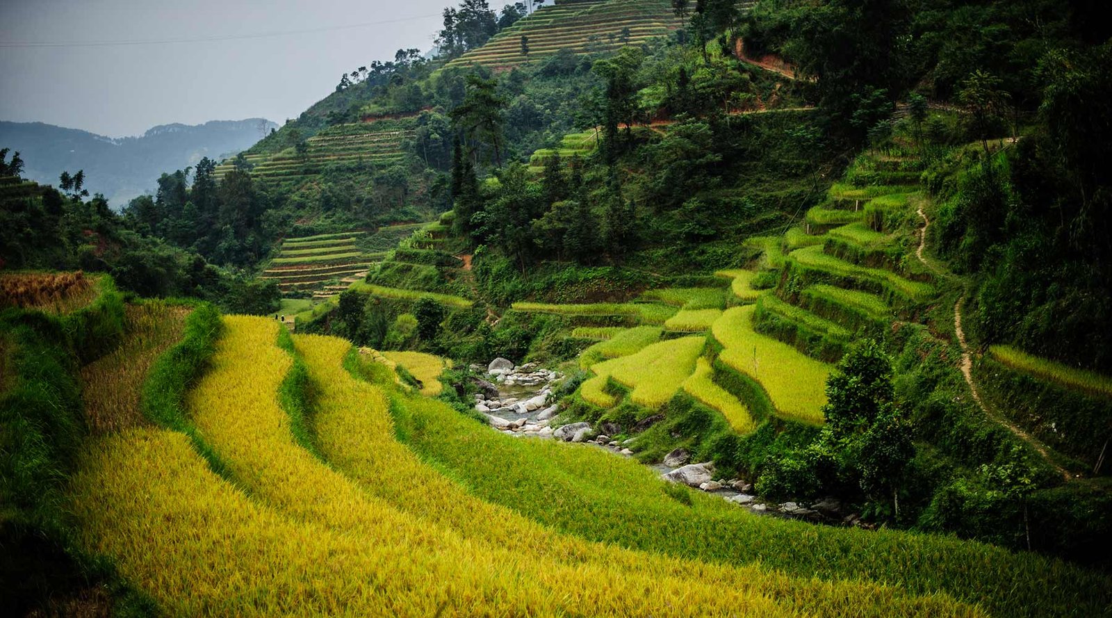 1780900305_northvietnam26.jpg