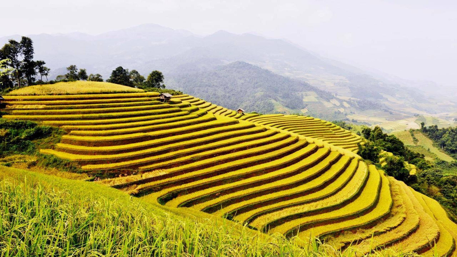 1780900852_northvietnam29.jpg