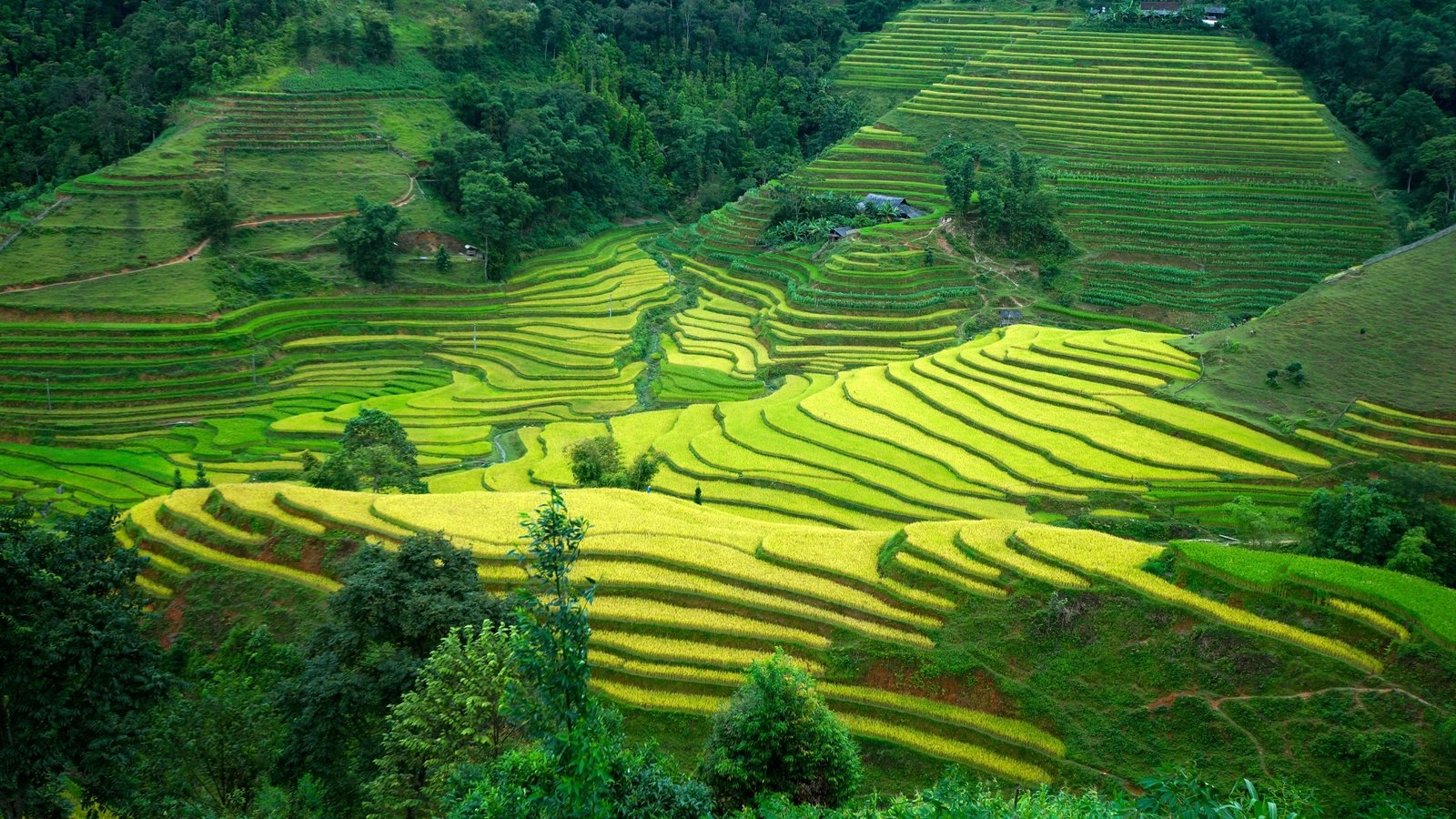1780909295_northvietnam32.jpg
