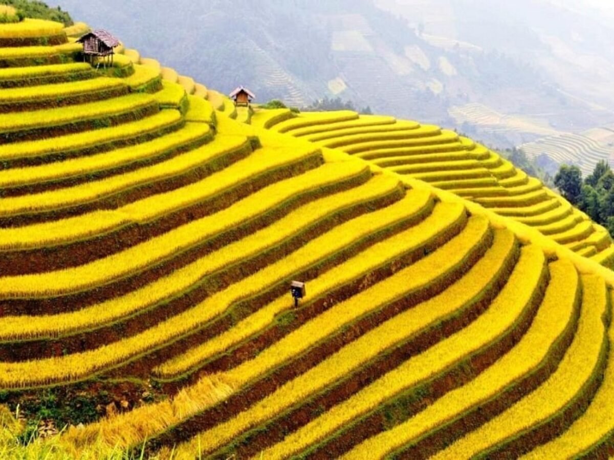 1780909608_northvietnam34.jpg
