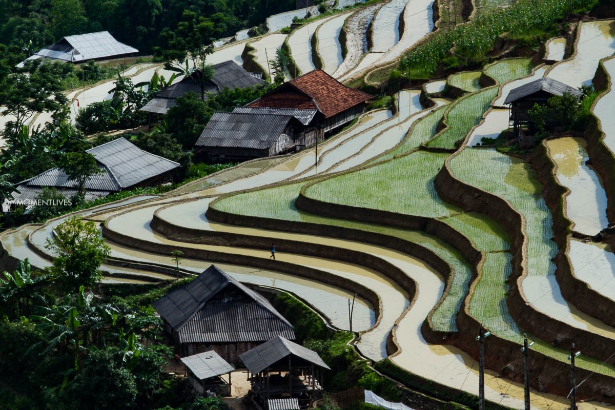 1780909760_northvietnam35.jpg
