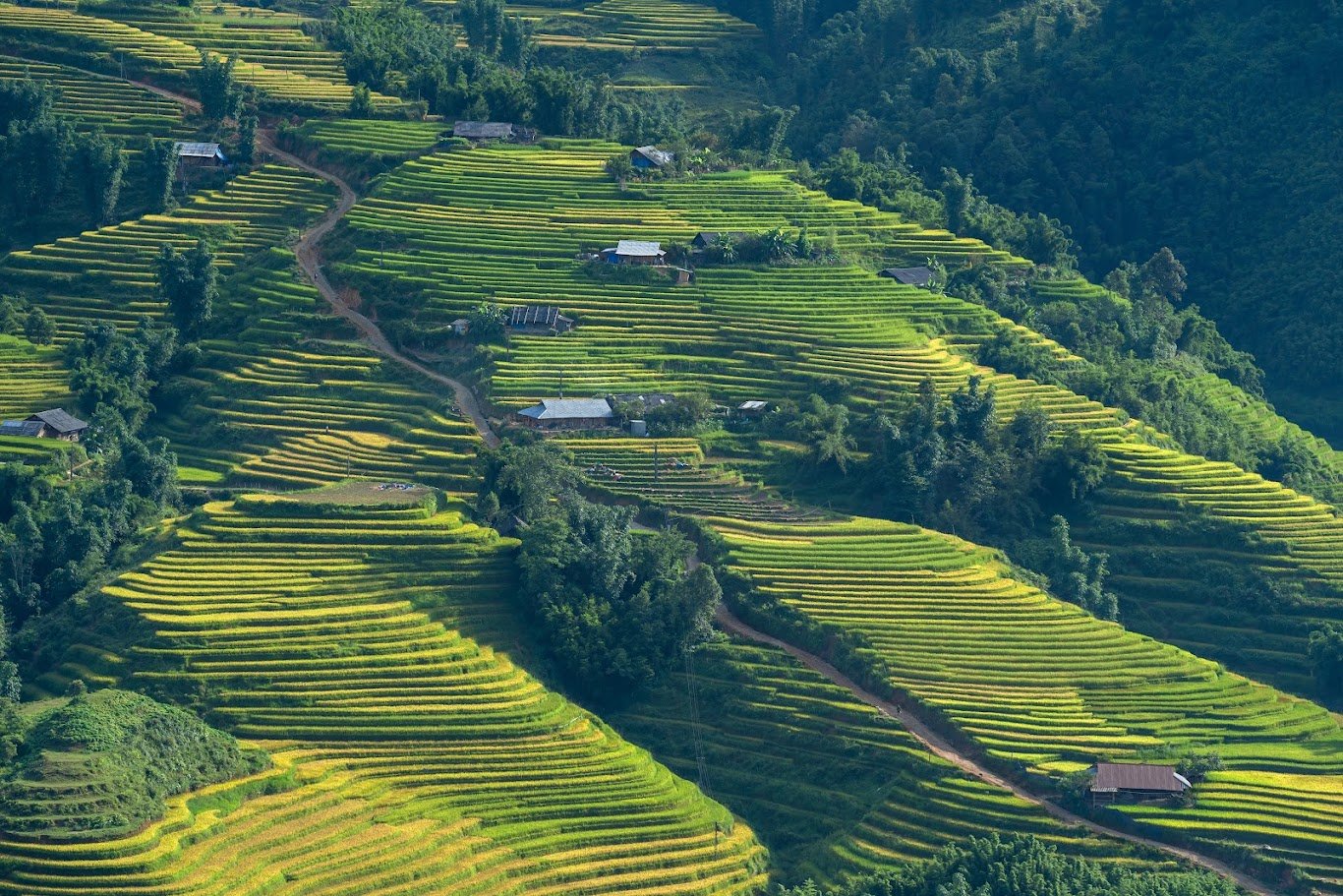 1780911192_northvietnam42.jpg