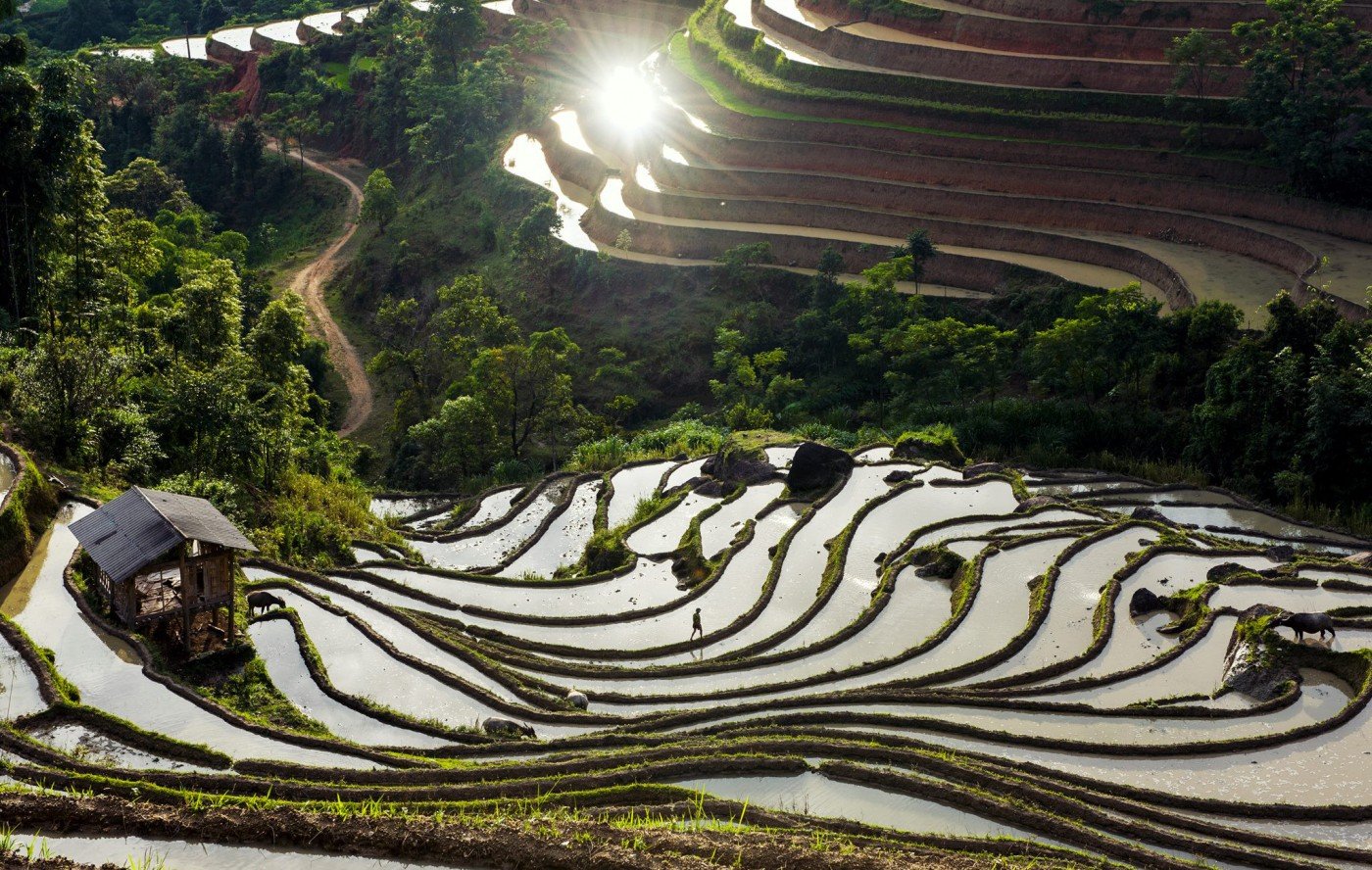 1780911758_northvietnam45.jpg