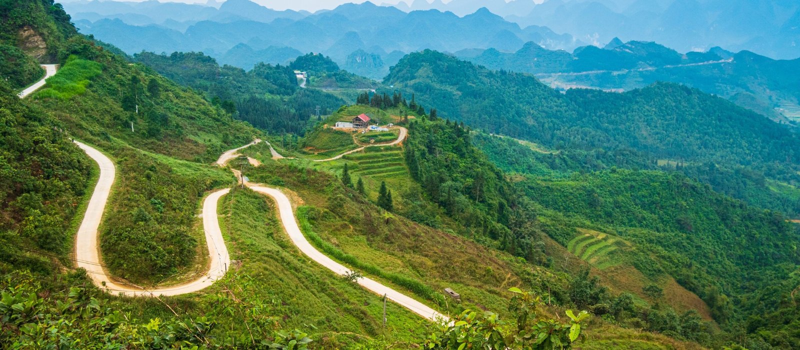 1780992885_hagiangloop11.jpg