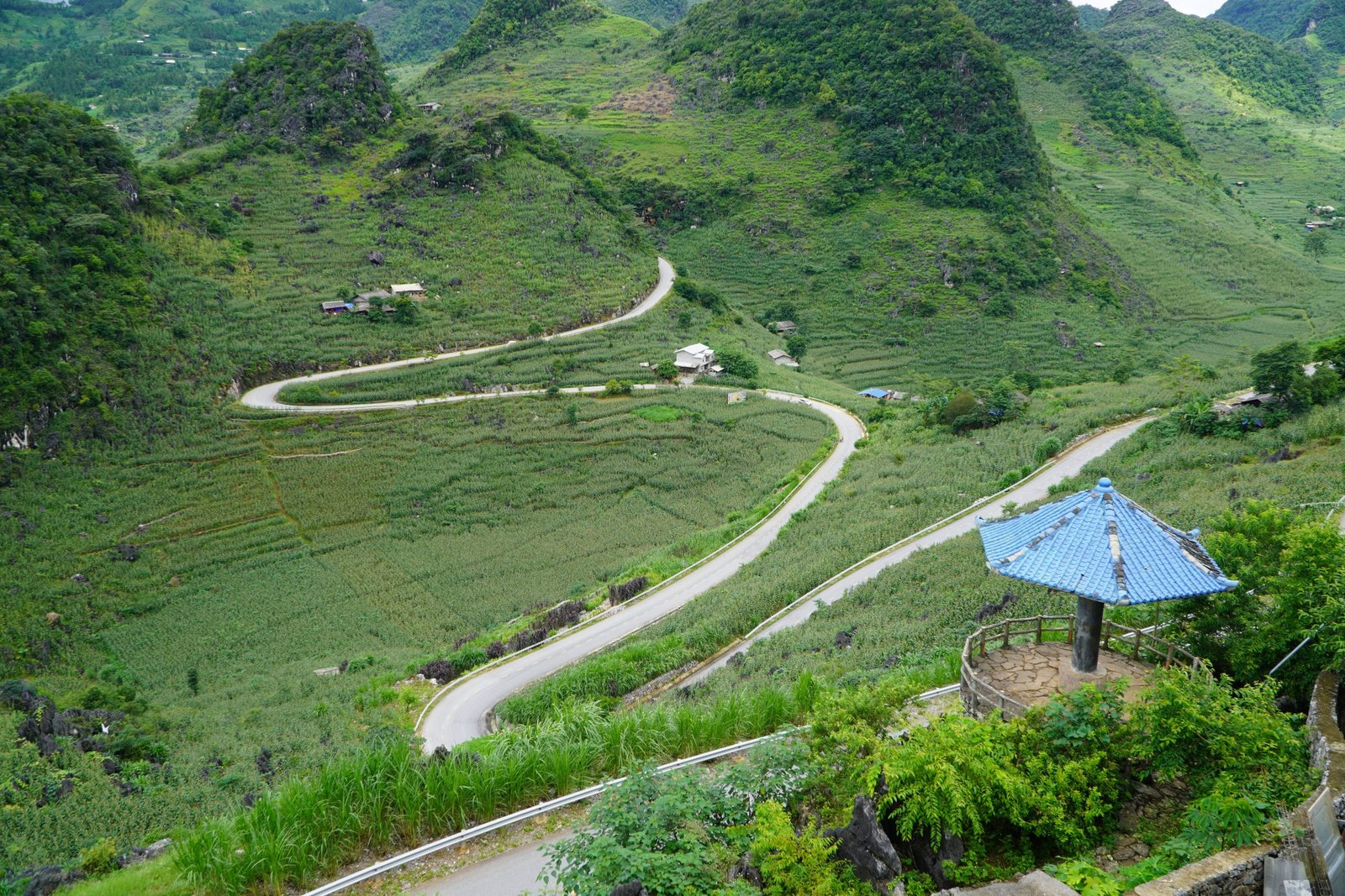 1780995908_hagiangloop24.jpg