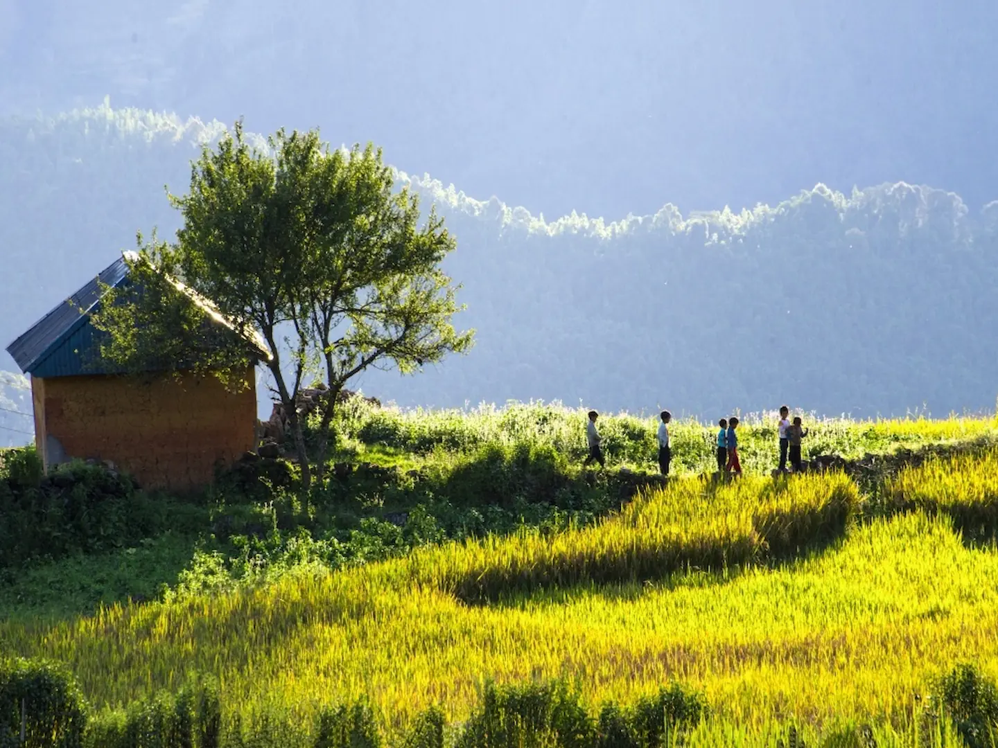 1783994907_sapa-tour-y-ty-lao-cai-3-day-2-night-2.webp