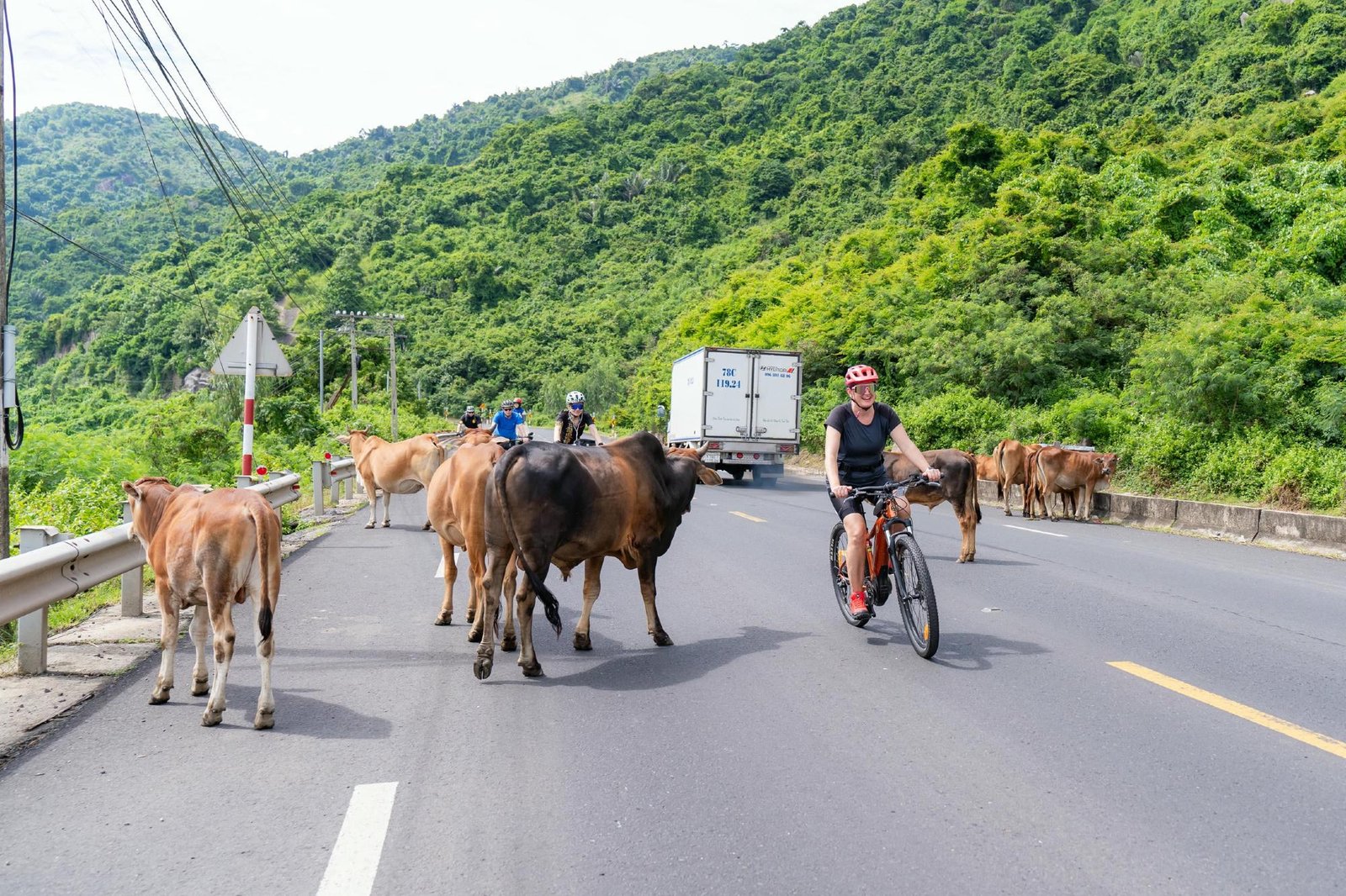 1784354931_sightsee-more-sweat-less-save-your-energy-for-sightseeing-with-efficient-vietnam-ebike-cycling-tours.jpg