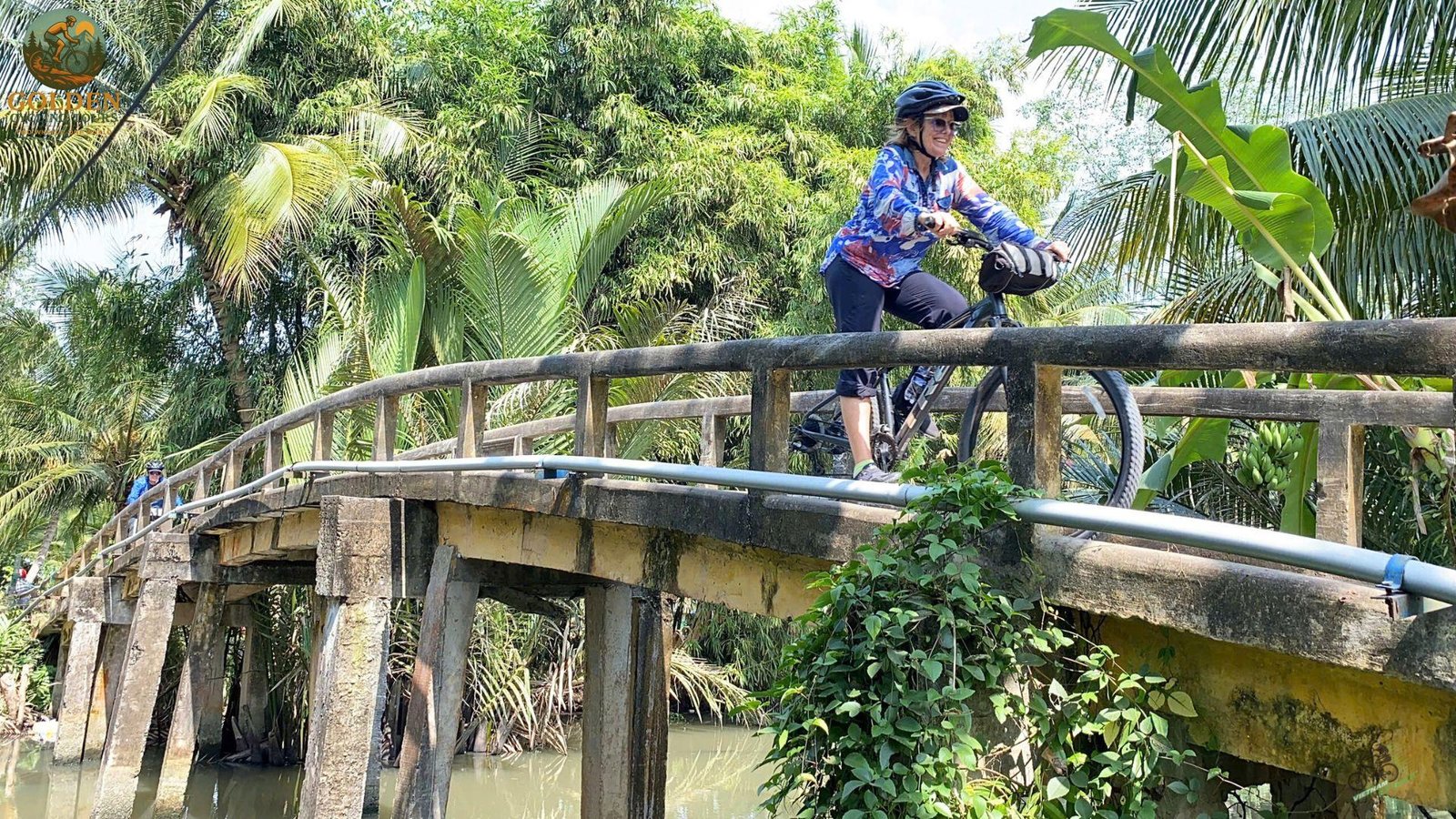 1784867255_mekong-delta-bike-tours-traverse-lotus-fields-in-dong-thap.jpg