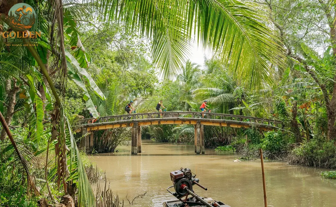 1784867991_mekong-delta-bike-tours-explore-tra-su-cajeput-forest-by-bike-boat-the-ultimate-wetland-adventure.webp