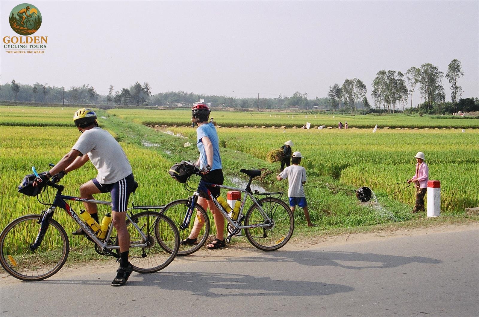 1784874824_mekong-delta-bike-tours-ride-peaceful-coconut-island-paths.jpg