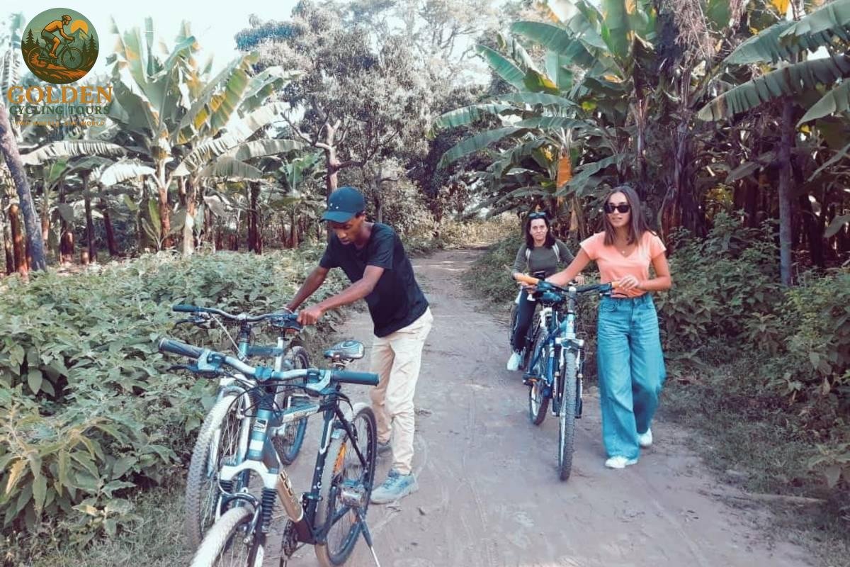 1784875529_scenic-waterway-escapes-unforgettable-mekong-delta-bike-tours.jpg