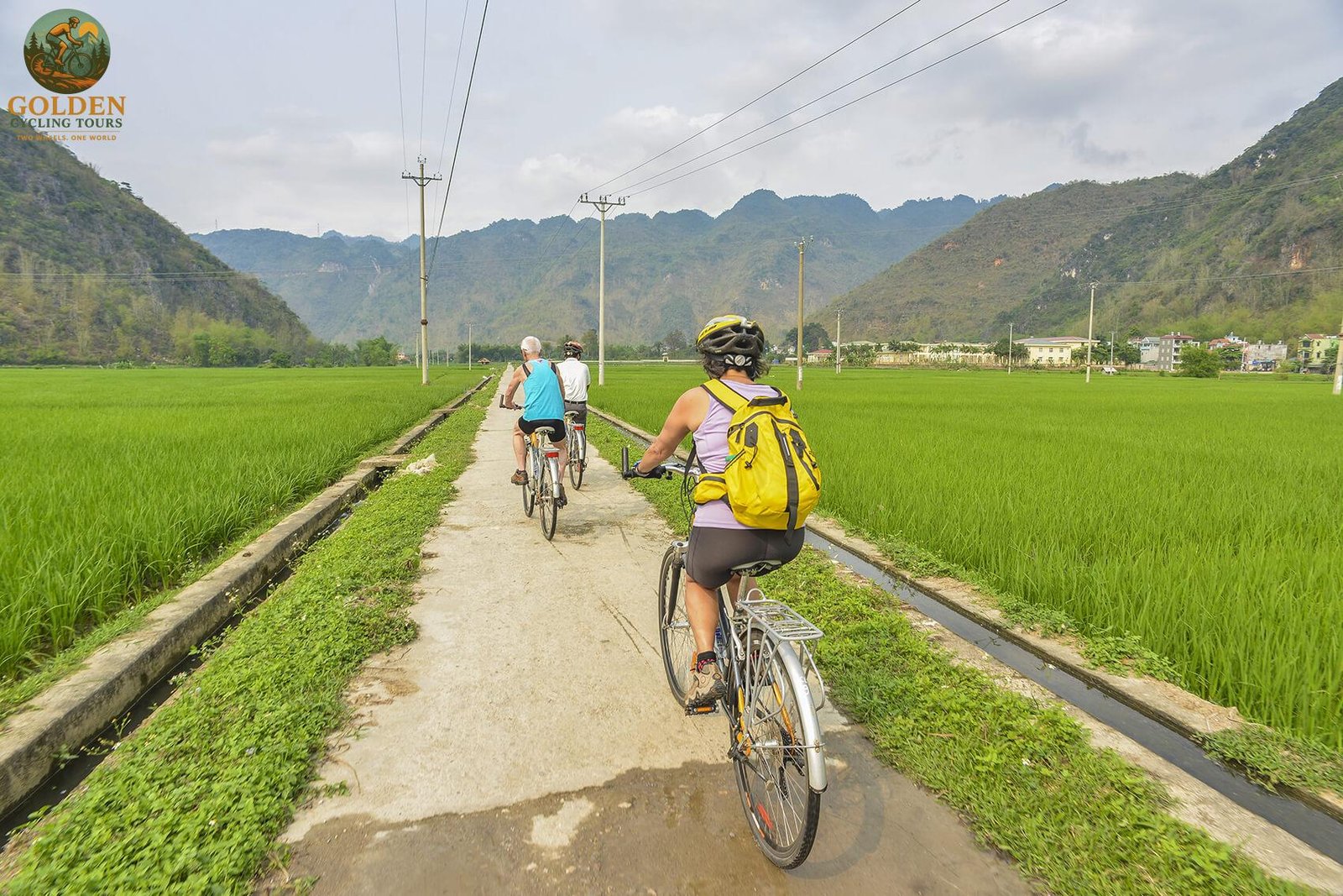 1784875665_why-active-travelers-choose-our-handcrafted-mekong-delta-bike-tours.jpg