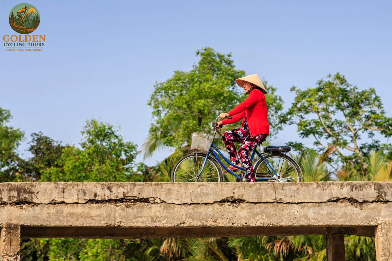 1784883433_top-10-scenic-mekong-delta-e-bike-cycling-tours.png