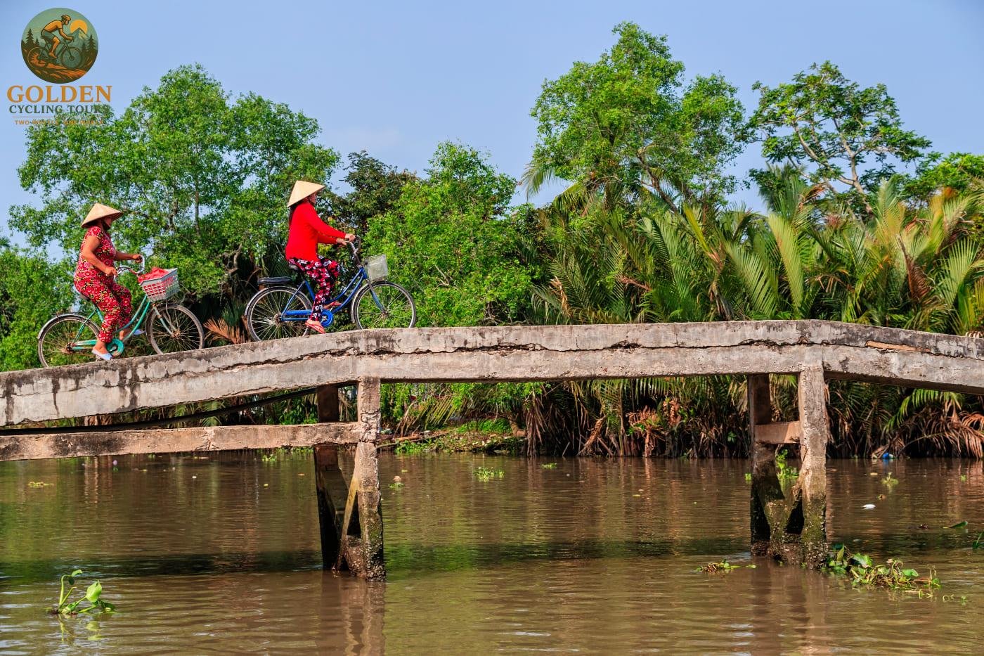 1784949771_active-wellness-revitalizing-mekong-delta-e-bike-cycling-tours.jpg