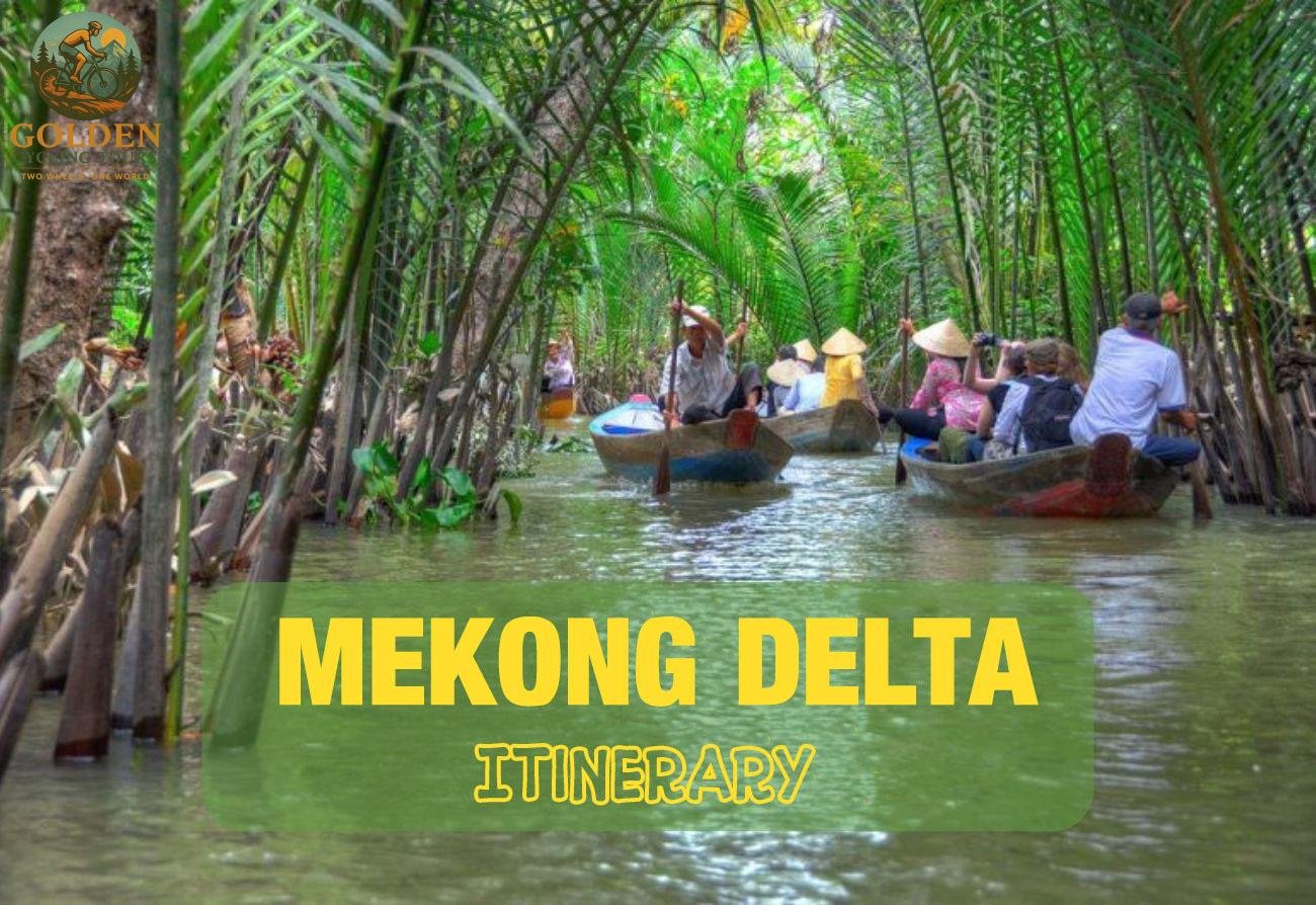 1784950178_all-terrain-e-power-island-trails-on-mekong-delta-e-bike-cycling-tours.jpg