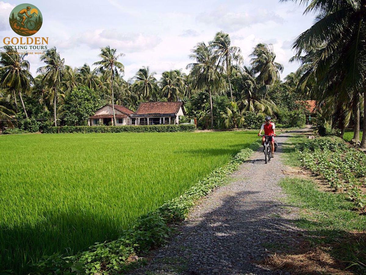 1784951342_high-performance-5-day-mekong-delta-road-bike-cycling-holidays.jpeg