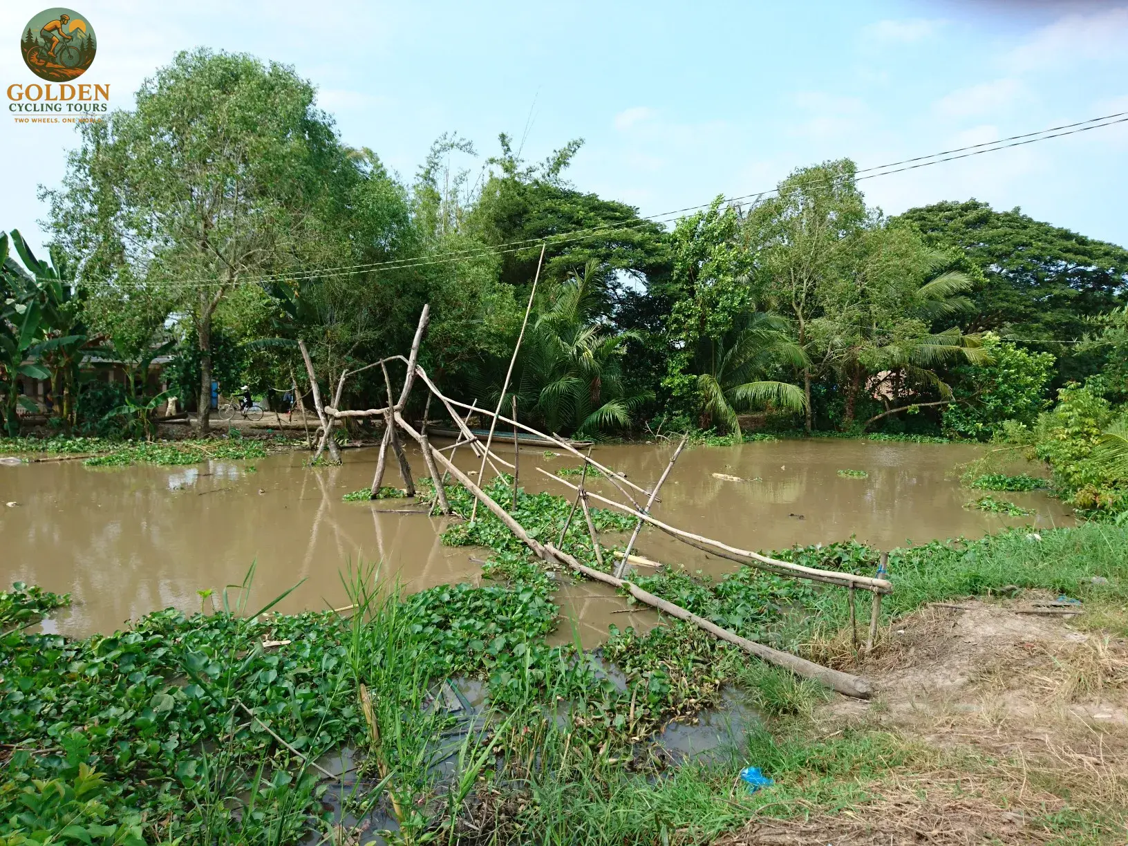 1784952617_fully-supported-mekong-delta-road-bike-cycling-holidays-with-mechanic-van.webp