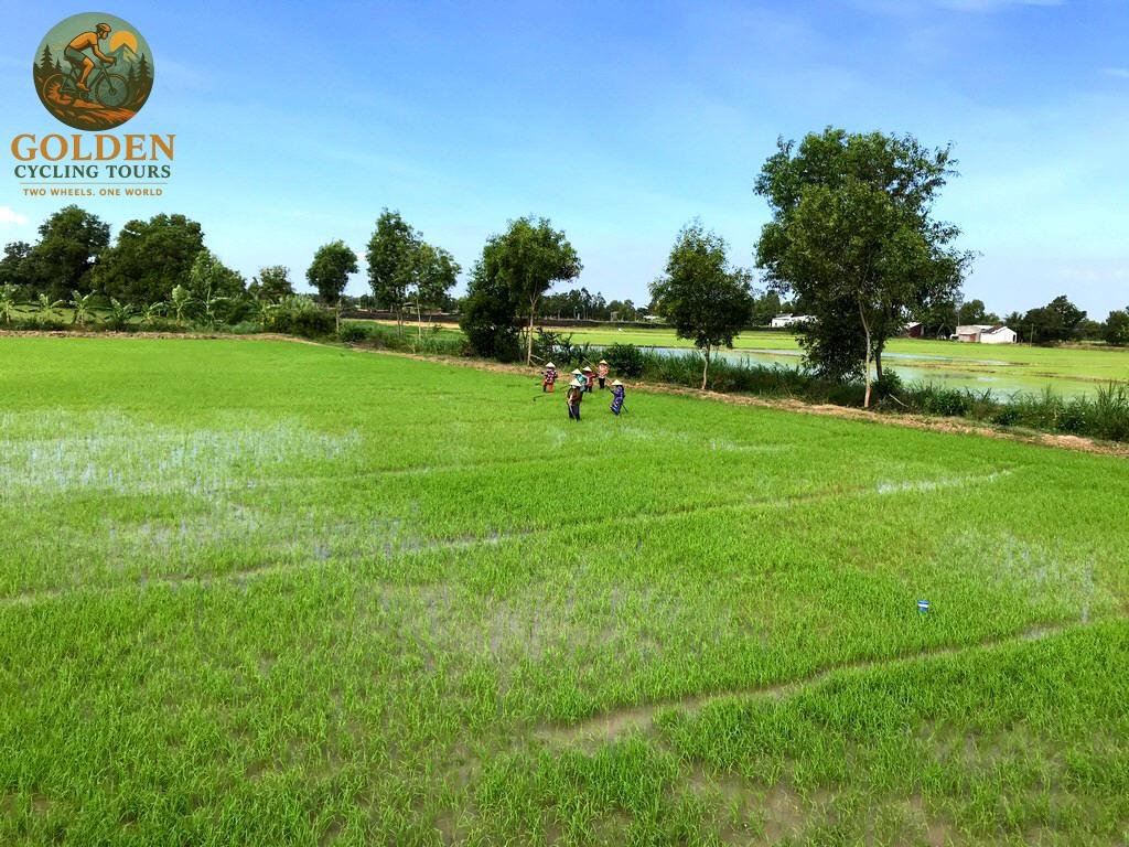 1784974701_unpaved-orchard-trails-top-rated-mekong-delta-gravel-bike-tours.jpg