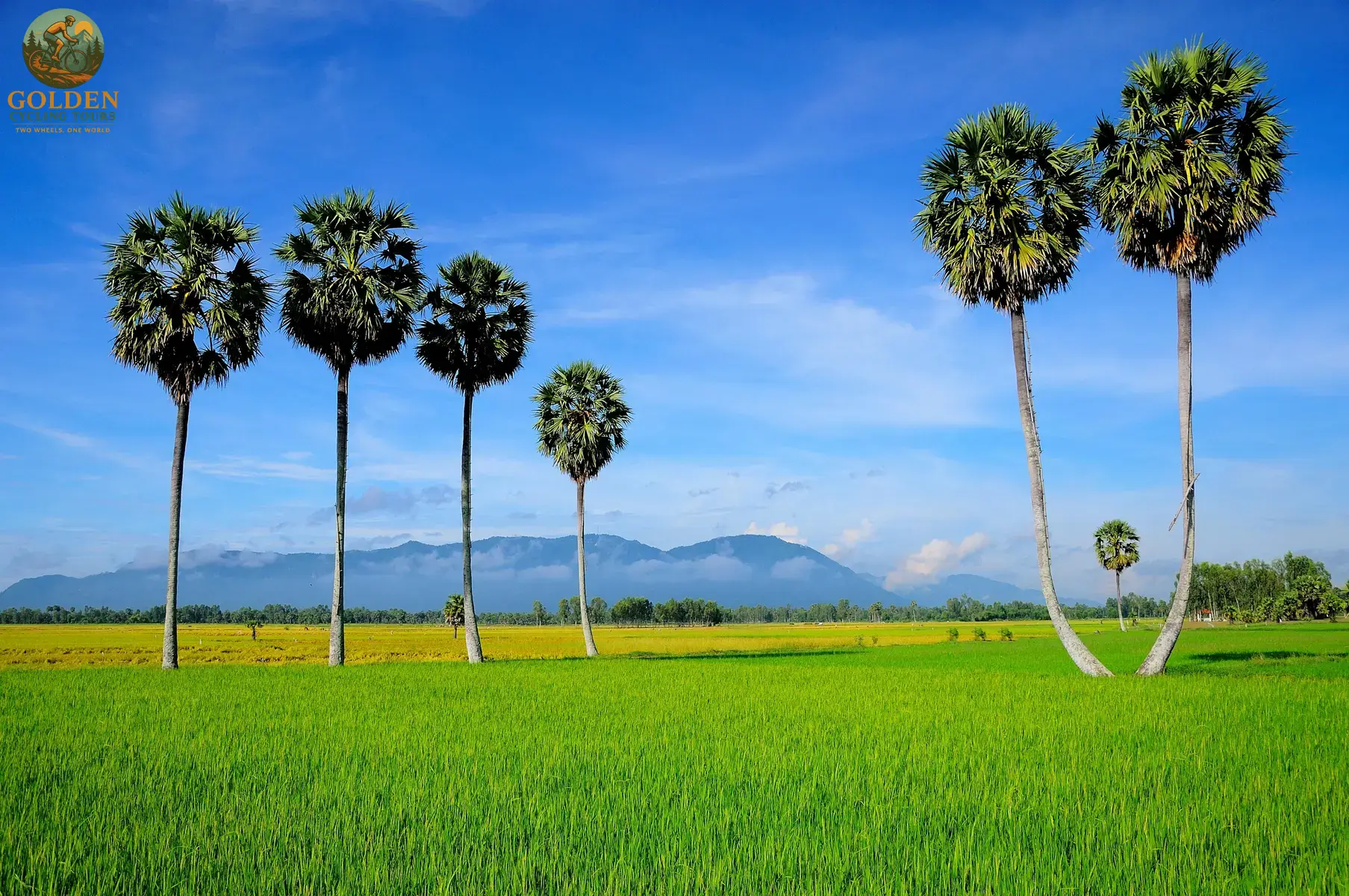 1785034811_executive-retreats-teambuilding-mekong-cycling-tours.webp