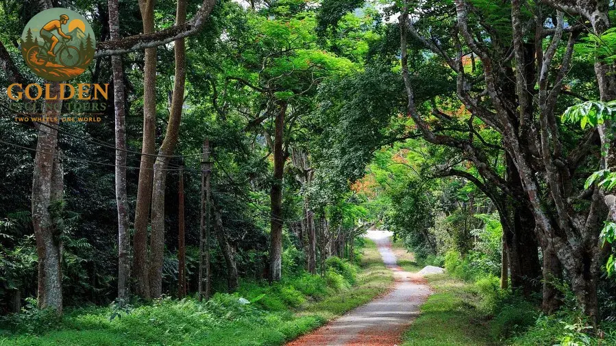 1785214021_jungle-e-bike-cycling-tours-hanoi-to-cuc-phuong-national-park.webp