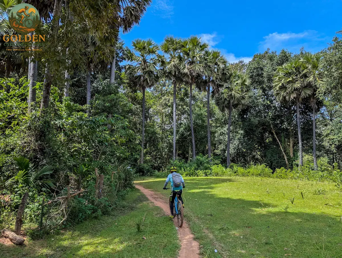 Premium Laos E-Bike Cycling Tours: The Smart Way to Travel