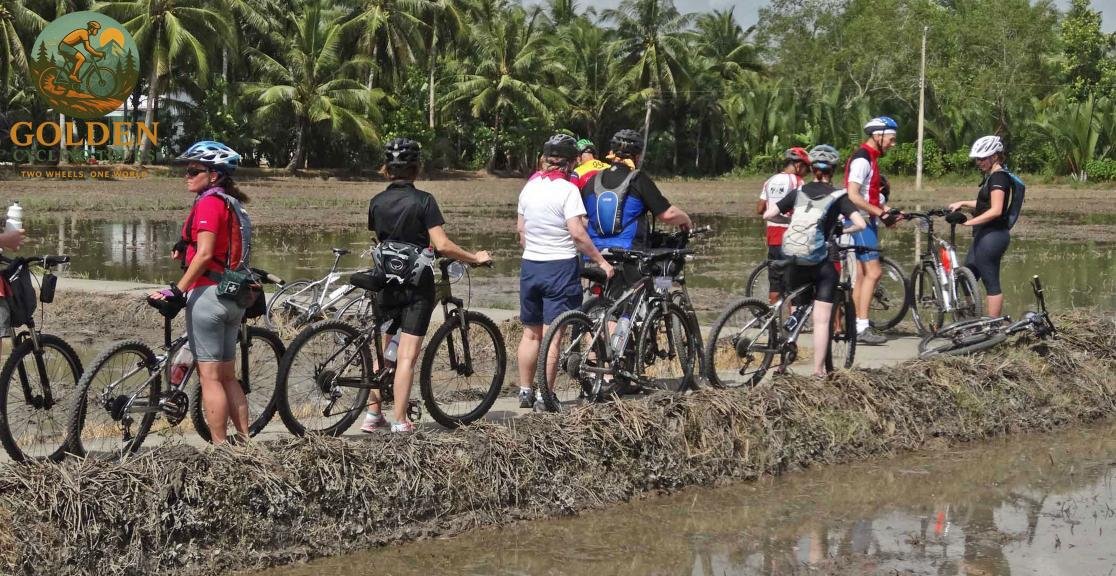 1786075986_best-7-day-northern-vietnam-cycling-tours-hanoi-to-mai-chau-pu-luong-ninh-binh.jpg