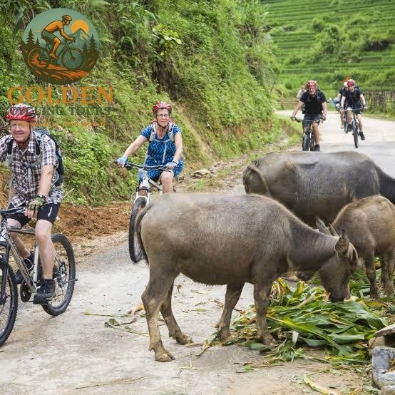 1787050836_breeze-through-country-roads-with-e-bike-cycling-tours-north-vietnam.jpg